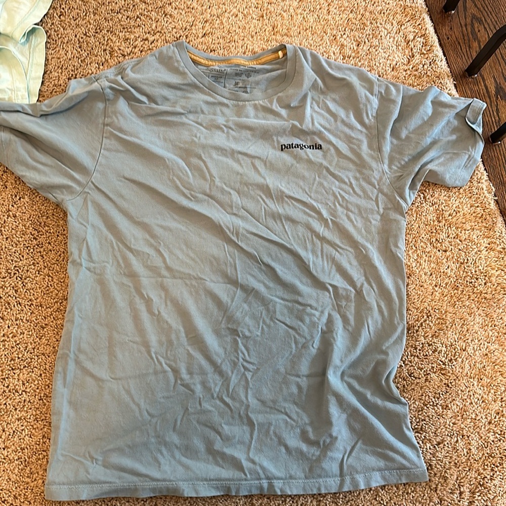 Patagonia red fish tee